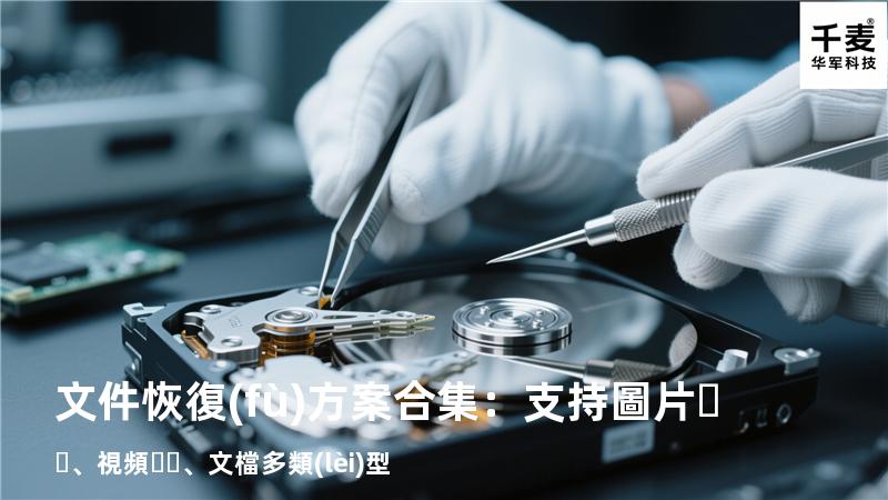 文件恢復(fù)方案合集：支持圖片、視頻、文檔多類(lèi)型 